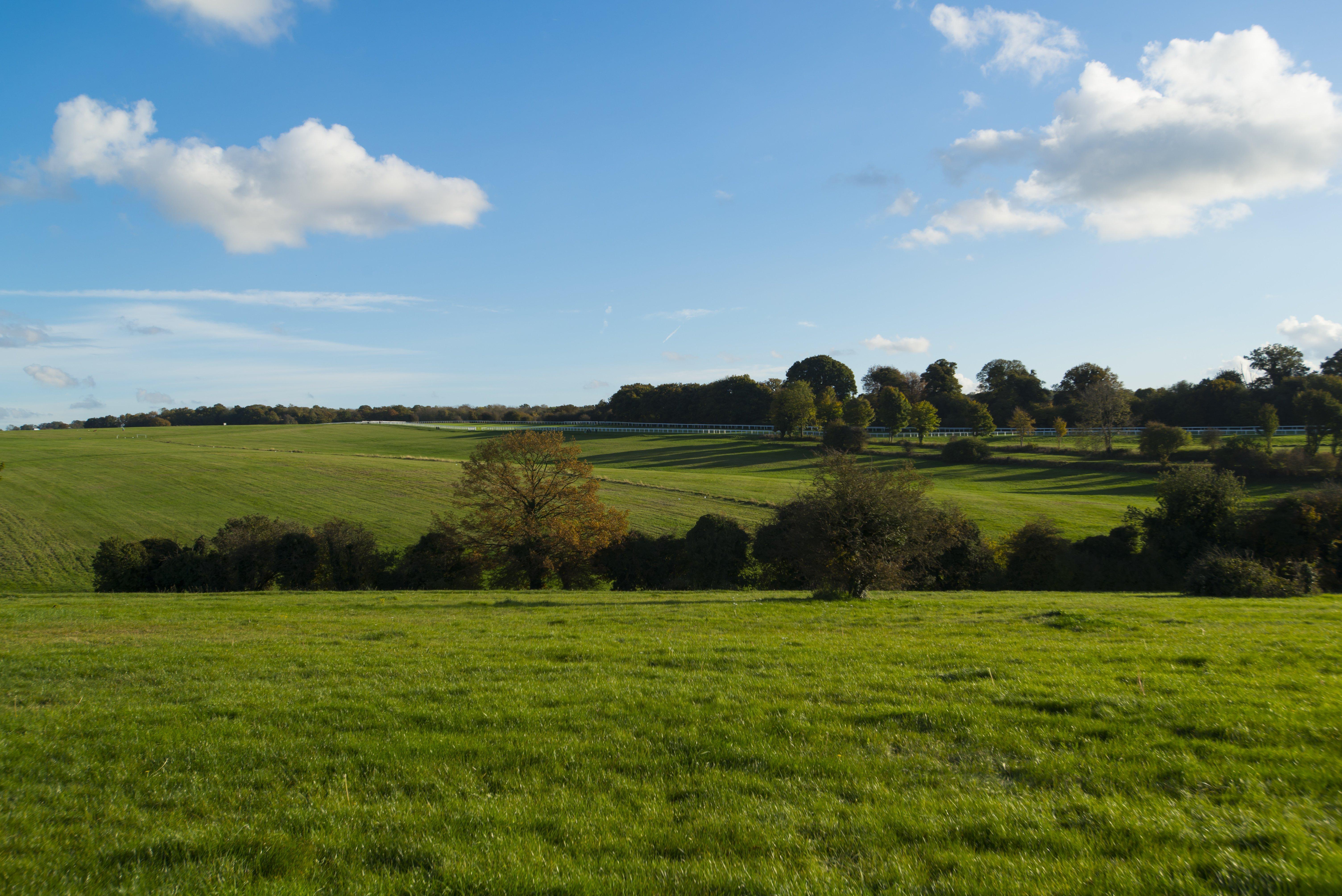 Holiday Inn Express London - Epsom Downs By Ihg Zewnętrze zdjęcie